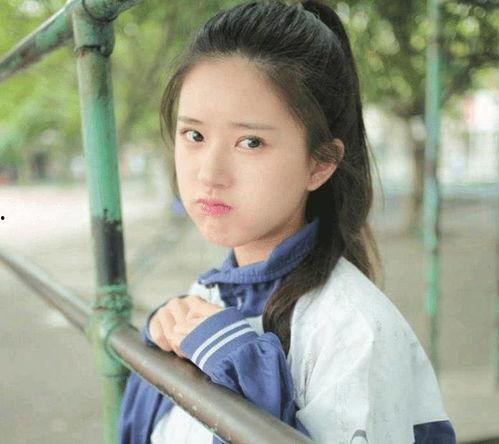 朝阳黑料 赵露思图片